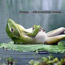 ������, �������, 102 ����
