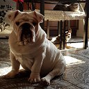 ���� ��������, ��� ��������� - ��������� 9 ���� 2024