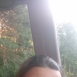 , 51, 