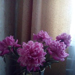 ������, ���������, 69 ���