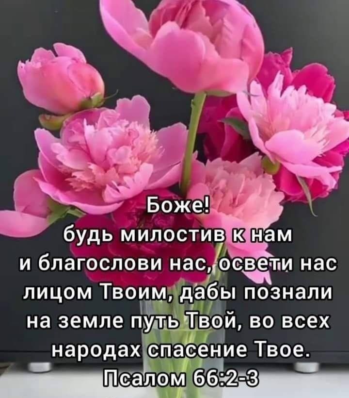 ������ - 11 ���� 2026 � 10:06