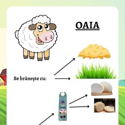 Melnic, �������, 49 ���