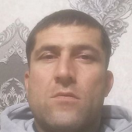 �����, �����-���������, 36 ���