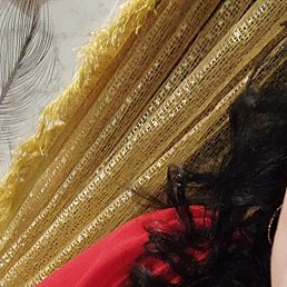 ���, ��������, 26 ���