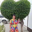 ���� ����, ��������, 61 ��� - ��������� 4 ��� 2026 � ������ ���� ����������