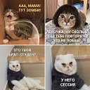 ���� ���������, ������, 45 ��� - ��������� 14 �������� 2026 � ������ ���� ����������
