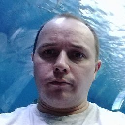 �������, ����, 46 ���