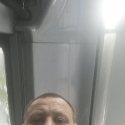 , 41, 