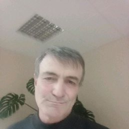 , 55 , 