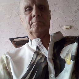 ������, �����������