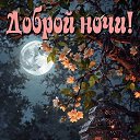���� ������, ����������� - ��������� 10 ������� 2026 � ������ ������ ��������