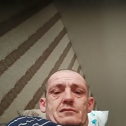 ��������, 40 ���, ����