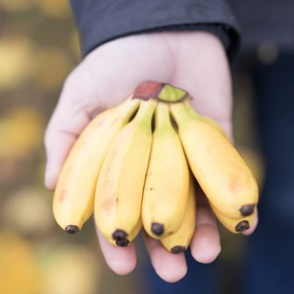 �����������, ������ ������ ����� ��������. �� ������ ����� ������ ��� ����� � ������ ������ ���� �� ... - 3