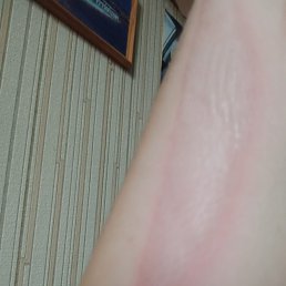 ���� ����, ������, 57 ��� - ��������� 16 ������ 2023