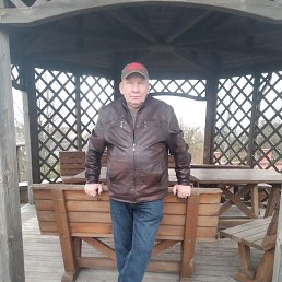 , 65, 