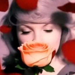 �����, ������