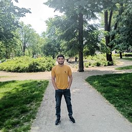 , 29, 