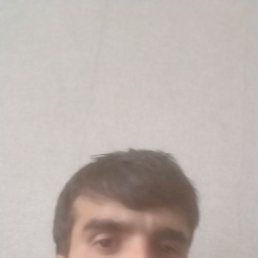 , 29, 