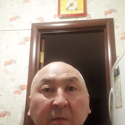 , 55, 