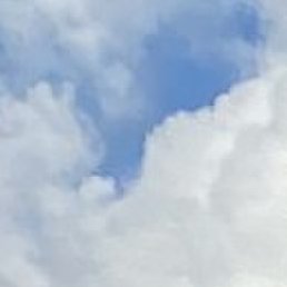 Fizuli Canubli, ���������, 55 ���