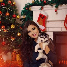 ���� ��������, ����������, 54 ���� - ��������� 27 ������� 2023