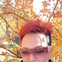 �����, �����-���������, 62 ����