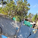 ���� Danny, �������, 25 ��� - ��������� 29 ������ 2024