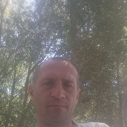 �������, 41 ���, ��������