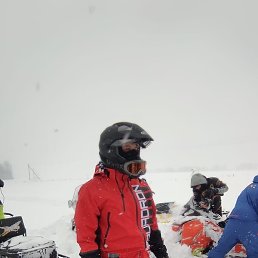 �������, ��������, 37 ���