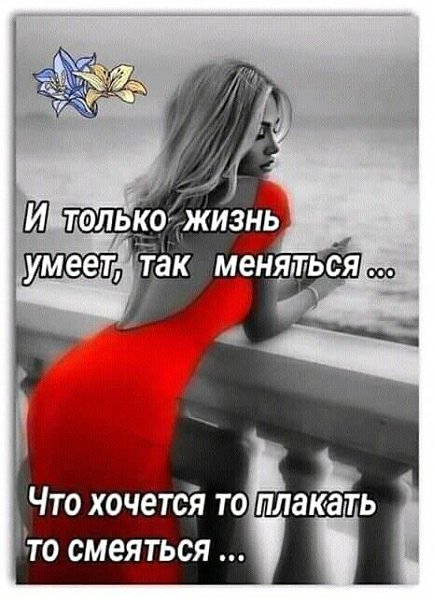 ₪╬═►  ||  ||  ◄═╬₪ - 6  2024  04:42