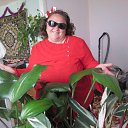 ���� ����� ���������, ������, 40 ��� - ��������� 9 ������ 2026 � ������ ���� ����������