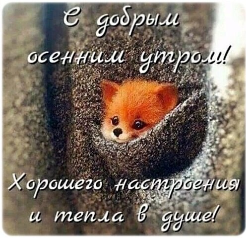����. �����. ������. ������. �����. ������. ��������. ��������. ������. �� ������. �����. �������� ... - 2