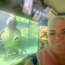 ���� �������, ����, 55 ��� - ��������� 16 ������� 2026