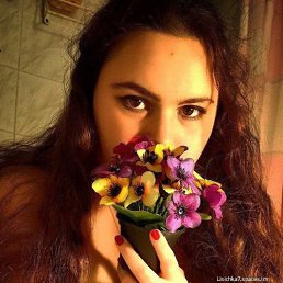 , 29, 