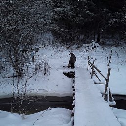 �, �����-���������, 68 ���