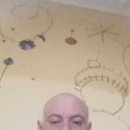 ������ ���������, 41 ���, �����