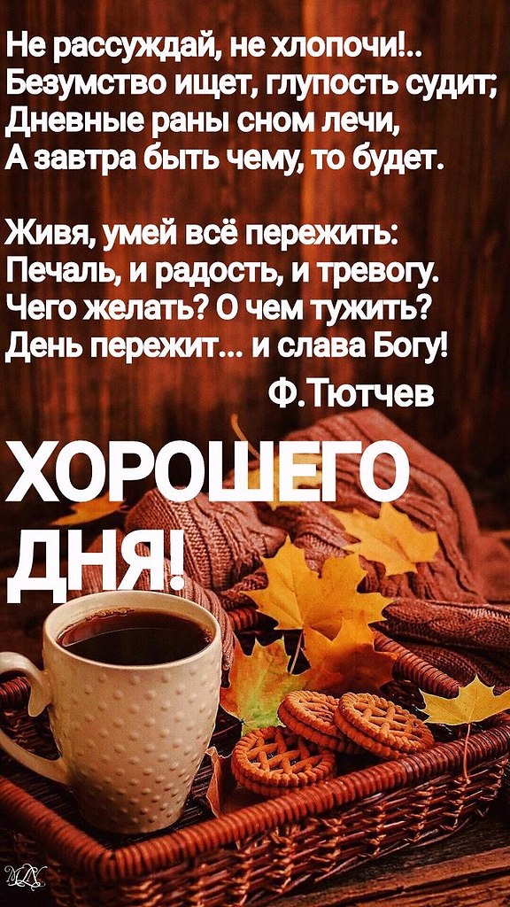 Всё будет хорошо! - 4 октября 2025 в 16:17