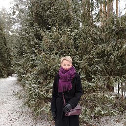 ���� ������, �����, 51 ��� - ��������� 11 ������ 2026