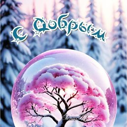 ���� �������, �����-���������, 66 ��� - ��������� 22 ������� 2025