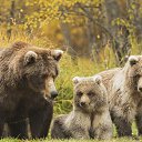 ���� ������, ������ �������� - ��������� 29 ������� 2023 � ������ ���� ����������