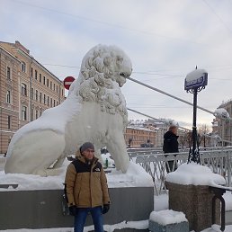 �������, ������, 41 ���