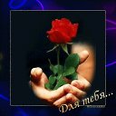 ���� �����, ����� - ��������� 1 ������� 2024 � ������ ���� ����������