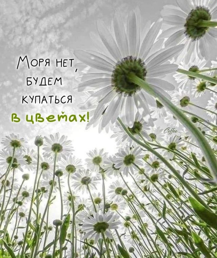   - 3  2025  07:21