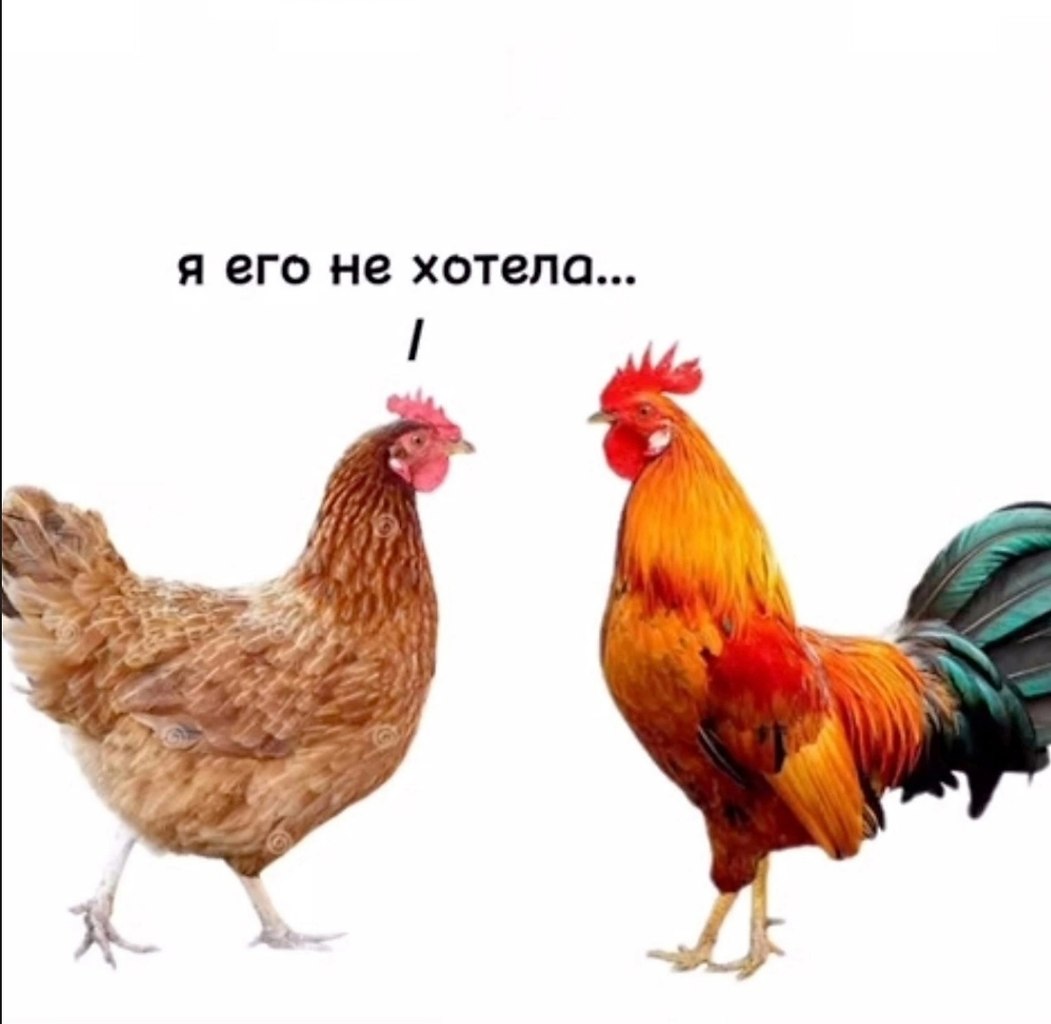 Деревенские сказки - 5