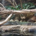 �� ���� ����!.. �� ������� ���� ����������