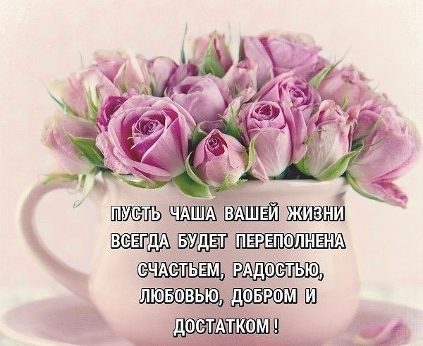  - 8  2024  01:10