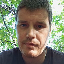 ������, ��������, 40 ���