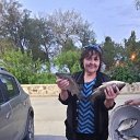 ���� ������, ���������, 61 ��� - ��������� 7 ��� 2025 � ������ ���� ����������