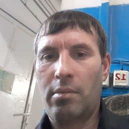 ����, ������, 39 ���