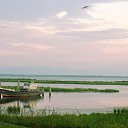 ���� ��������, ����-���, 42 ���� - ��������� 21 ���� 2025 � ������ ���� ����������